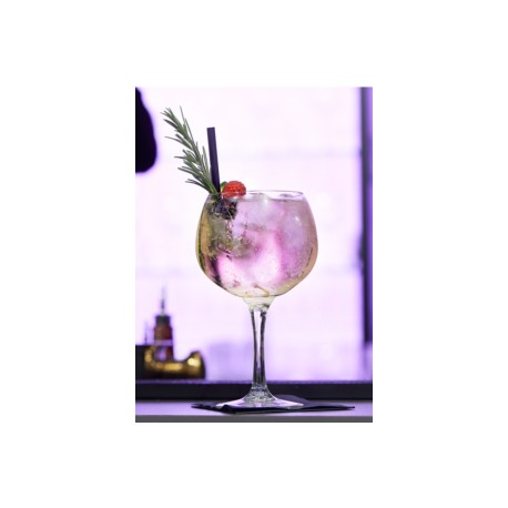 3658SCL60 COPA COPACABANA GIN & TONIC 600 ML / 20 OZ